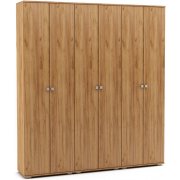 дуб золотистый