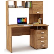 дуб золотистый