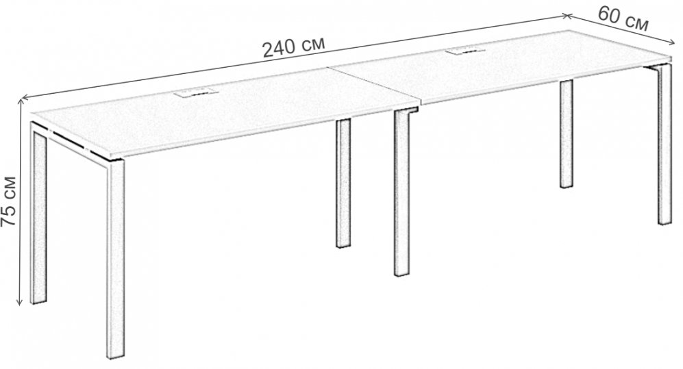 Компьютерный стол SG.221 2400х600х750 60х30 дуб светлый / белый