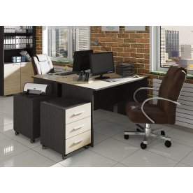 Письменный стол Успех-2 ПМ-184.04