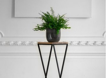 Цветочница Теренс 10