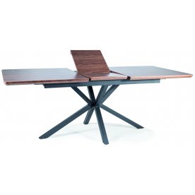 Деревянный стол Logan 160-200/90/75