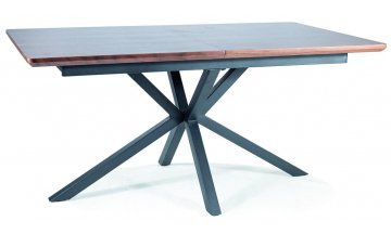 Деревянный стол Logan 160-200/90/75