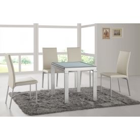 (НЕ АКТИВЕН, нет в прайсе) Обеденная группа "стол 8862 и 4 стула 0719" (ES)
