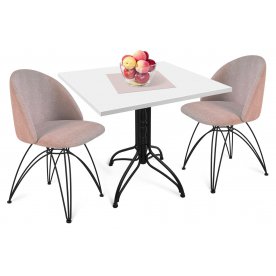 Обеденная группа SHT-DS119