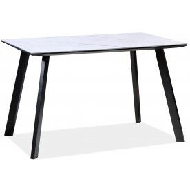 Стеклянный стол Samuel 120/80