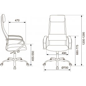 Компьютерное кресло Бюрократ CH-607SL