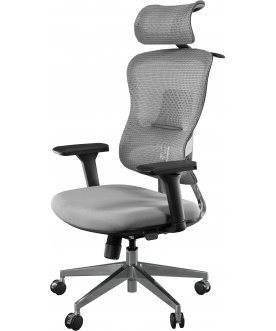 Компьютерное кресло Expert Ergo Fly