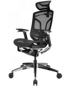 Компьютерное кресло Gt Chair Dvary X Pro