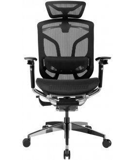 Компьютерное кресло Gt Chair Dvary X Pro