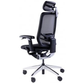 Компьютерное кресло InFlex X