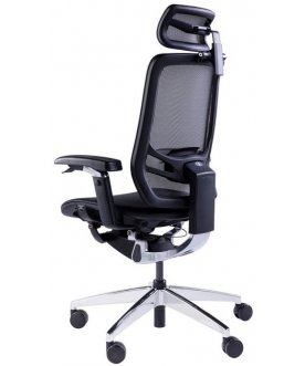 Компьютерное кресло InFlex X