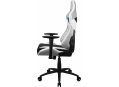 Компьютерное кресло ThunderX3 TC3 arctic white