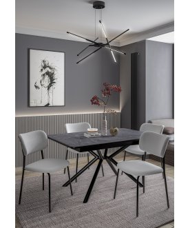 Комплект стульев 302SD