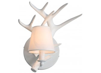 Бра Catorene SL346.501.01