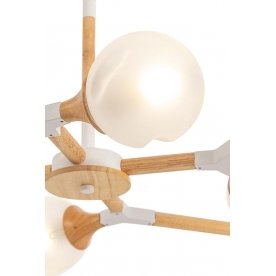 Люстра Amy FR5105CL-06W