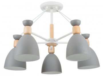 Потолочная люстра Delia FR5033CL-05W