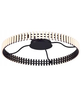 Потолочный светильник SL6203.402.50