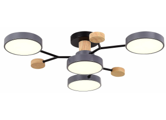 Потолочная люстра SLE6006-702-04