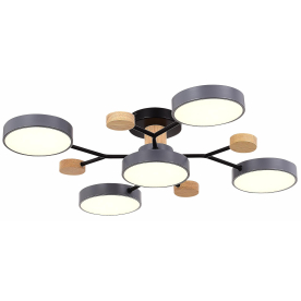 Потолочная люстра SLE6006-702-05