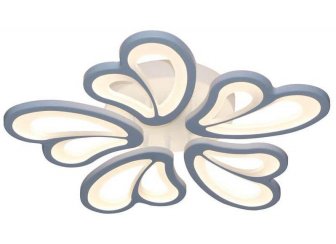 Потолочный светильник Хойя 05833