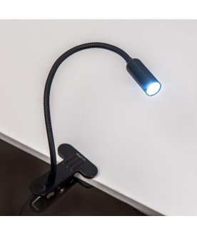 Настольная лампа Ньютон CL803061N