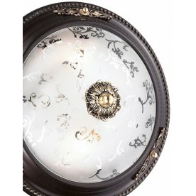 Накладной светильник Corbea 2671/2C