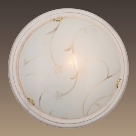 Настенно-потолочный светильник Blanketa 202