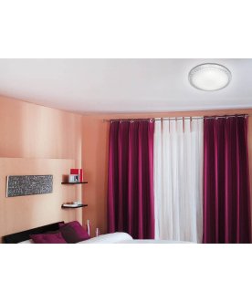 Настенно-потолочный светильник Brisa 2036/EL