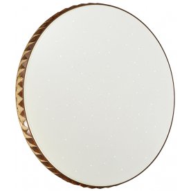 Настенно-потолочный светильник Dina 2078/DL