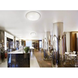 Настенно-потолочный светильник Elle 2042/ML