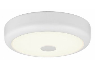 Настенно-потолочный светильник Фостер CL706120