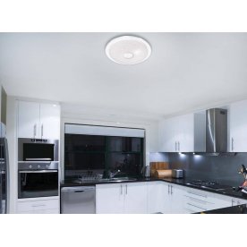 Настенно-потолочный светильник Galeo 2054/ML