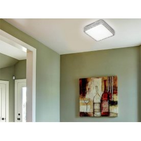 Настенно-потолочный светильник Karola 2035/DL