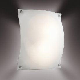 Настенно-потолочный светильник Ravi 3203