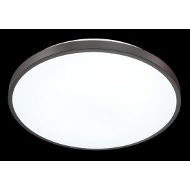 Настенно-потолочный светильник SMALLI 3012/DL