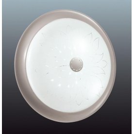 Настенно-потолочный светильник Unika 2031/C