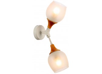 Настенный светильник Ciotolla SLE113501-02