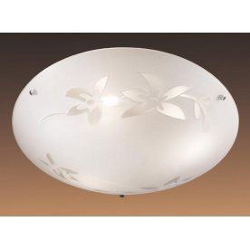 Настенный светильник Romana 1214