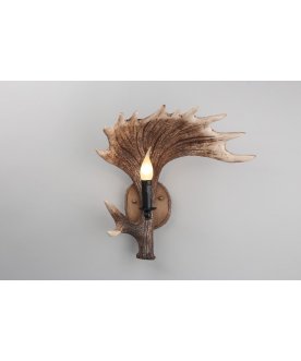 Настенный светильник OML-52201-01