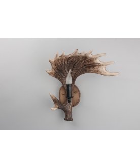 Настенный светильник OML-52201-01