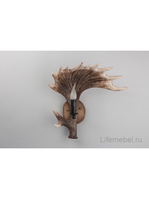 Настенный светильник Sinio OML-52201-01