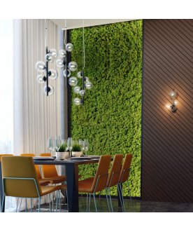 Настенный светильник 4818/3W