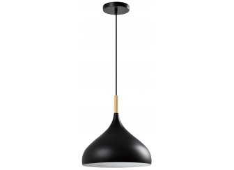 Подвесной светильник V1301-1P