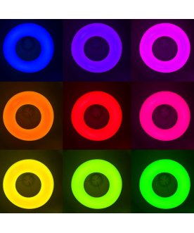 Подвесной светильник CL732A660GS