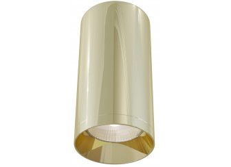 Потолочный светильник C010CL-01G