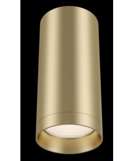 Потолочный светильник C010CL-01MG