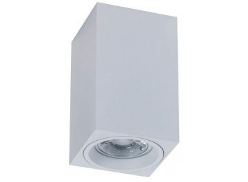 Потолочный светильник C011CL-01W