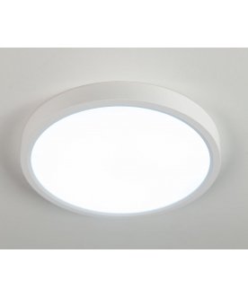 Потолочный светильник Бейсик CL738180V