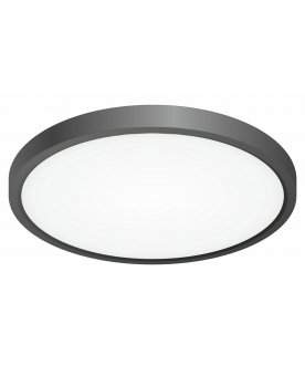 Потолочный светильник Бейсик CL738241V